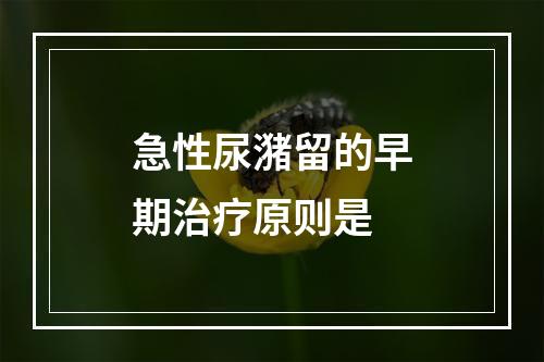 急性尿潴留的早期治疗原则是