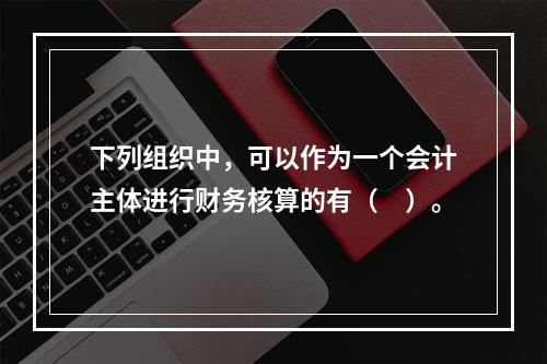 下列组织中，可以作为一个会计主体进行财务核算的有（　）。