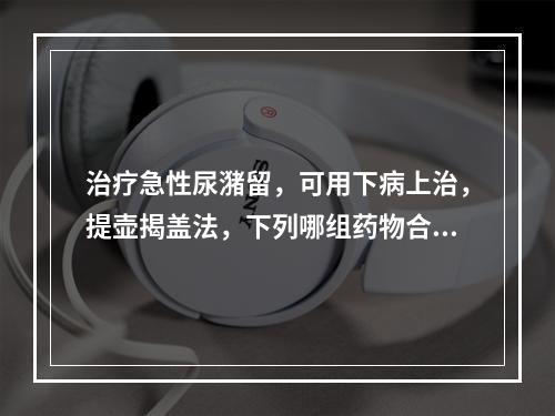 治疗急性尿潴留，可用下病上治，提壶揭盖法，下列哪组药物合适