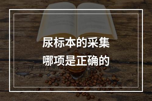 尿标本的采集哪项是正确的