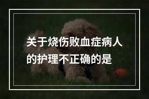 关于烧伤败血症病人的护理不正确的是