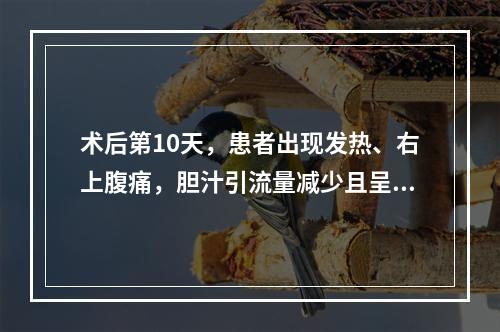 术后第10天，患者出现发热、右上腹痛，胆汁引流量减少且呈稀薄