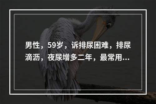 男性，59岁，诉排尿困难，排尿滴沥，夜尿增多二年，最常用最简