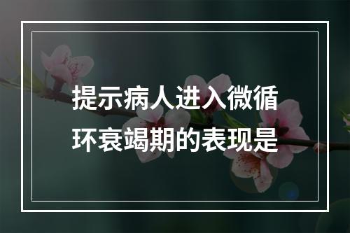 提示病人进入微循环衰竭期的表现是