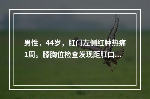 男性，44岁，肛门左侧红肿热痛1周。膝胸位检查发现距肛口4c