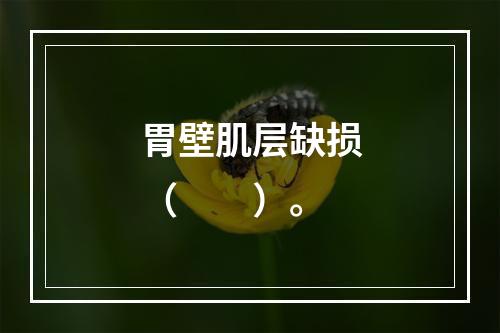 胃壁肌层缺损（　　）。