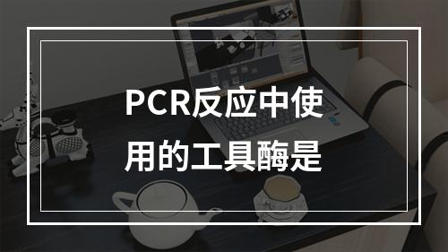 PCR反应中使用的工具酶是