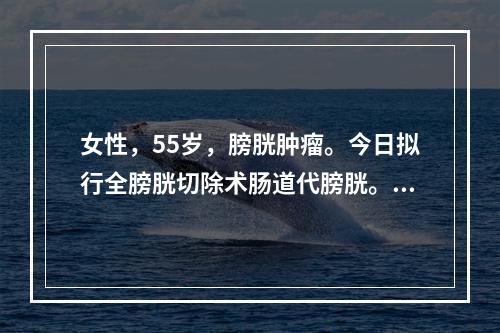 女性，55岁，膀胱肿瘤。今日拟行全膀胱切除术肠道代膀胱。今早