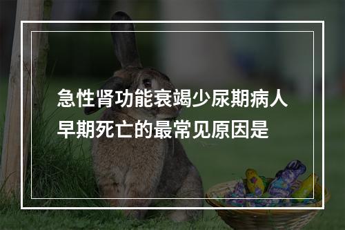 急性肾功能衰竭少尿期病人早期死亡的最常见原因是