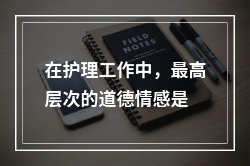 在护理工作中，最高层次的道德情感是