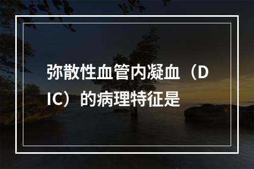 弥散性血管内凝血（DIC）的病理特征是