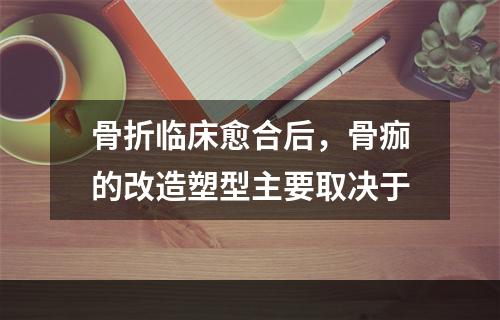 骨折临床愈合后，骨痂的改造塑型主要取决于