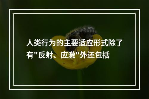 人类行为的主要适应形式除了有