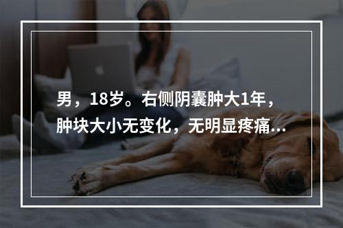 男，18岁。右侧阴囊肿大1年，肿块大小无变化，无明显疼痛。查