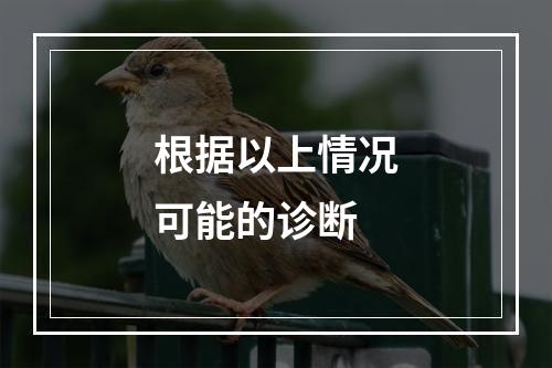 根据以上情况可能的诊断