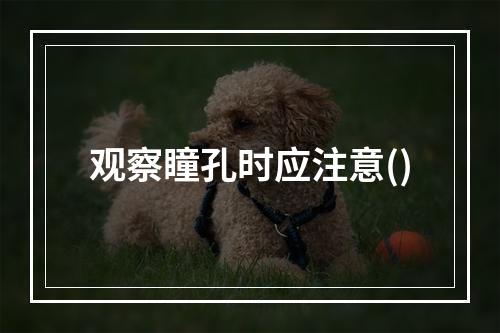 观察瞳孔时应注意()