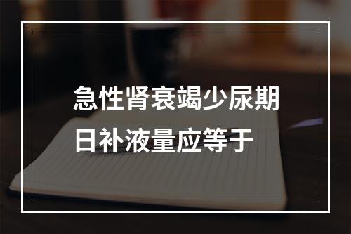 急性肾衰竭少尿期日补液量应等于