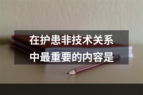 在护患非技术关系中最重要的内容是