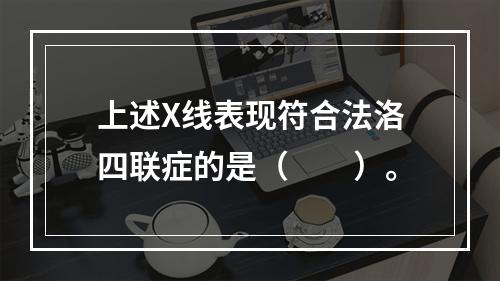 上述X线表现符合法洛四联症的是（　　）。