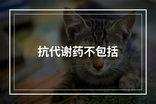 抗代谢药不包括