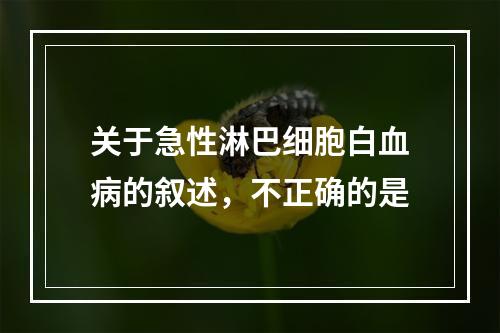 关于急性淋巴细胞白血病的叙述，不正确的是