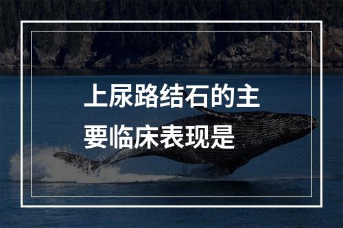 上尿路结石的主要临床表现是