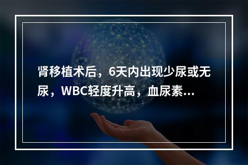 肾移植术后，6天内出现少尿或无尿，WBC轻度升高，血尿素氮、