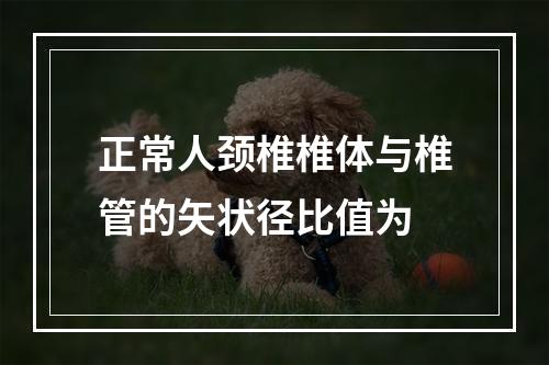 正常人颈椎椎体与椎管的矢状径比值为