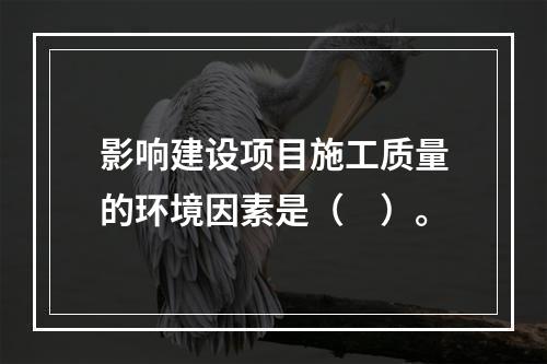 影响建设项目施工质量的环境因素是（　）。