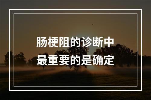 肠梗阻的诊断中最重要的是确定