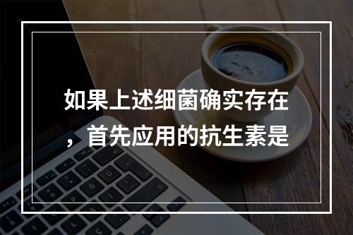 如果上述细菌确实存在，首先应用的抗生素是