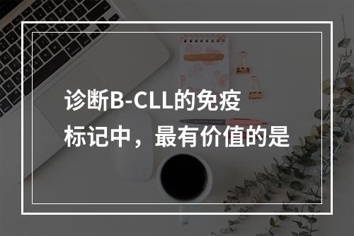 诊断B-CLL的免疫标记中，最有价值的是