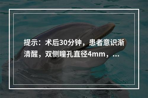 提示：术后30分钟，患者意识渐清醒，双侧瞳孔直径4mm，对光