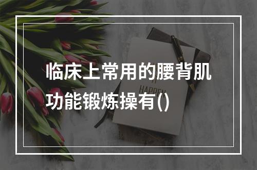 临床上常用的腰背肌功能锻炼操有()