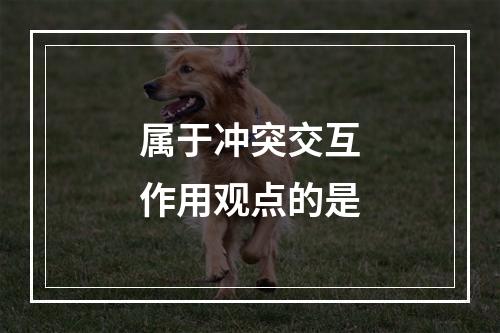 属于冲突交互作用观点的是