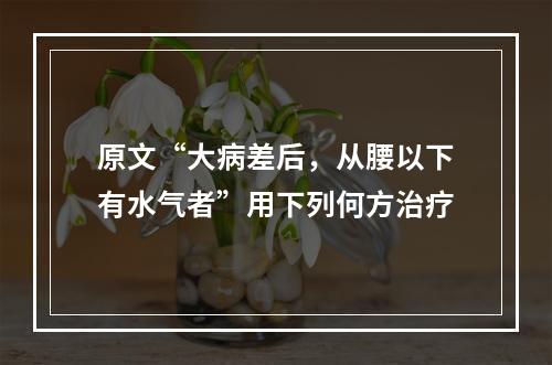 原文“大病差后，从腰以下有水气者”用下列何方治疗