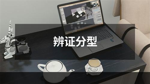 辨证分型