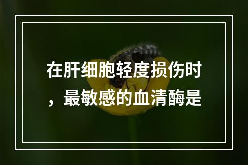 在肝细胞轻度损伤时，最敏感的血清酶是