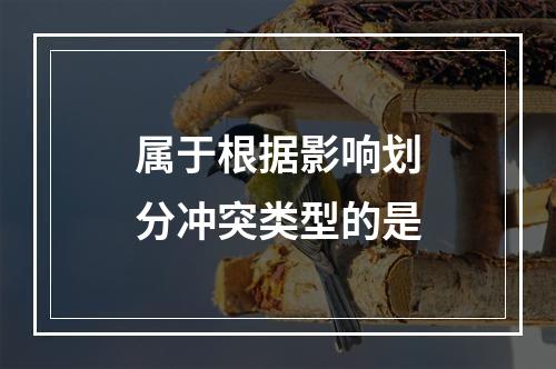 属于根据影响划分冲突类型的是