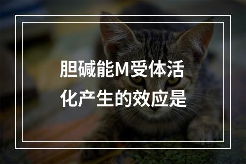 胆碱能M受体活化产生的效应是