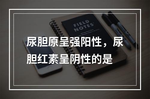 尿胆原呈强阳性，尿胆红素呈阴性的是