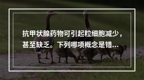 抗甲状腺药物可引起粒细胞减少，甚至缺乏。下列哪项概念是错误的