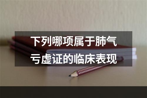 下列哪项属于肺气亏虚证的临床表现