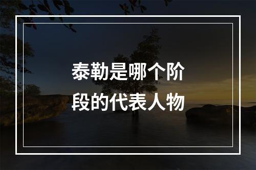 泰勒是哪个阶段的代表人物