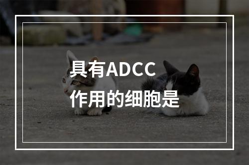 具有ADCC作用的细胞是