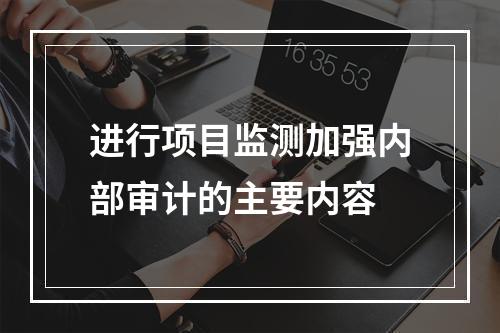 进行项目监测加强内部审计的主要内容