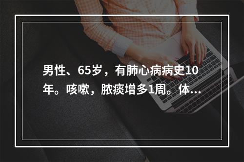 男性、65岁，有肺心病病史10年。咳嗽，脓痰增多1周。体检：