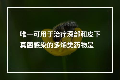 唯一可用于治疗深部和皮下真菌感染的多烯类药物是