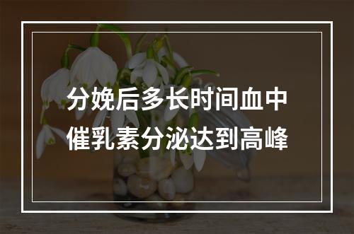 分娩后多长时间血中催乳素分泌达到高峰