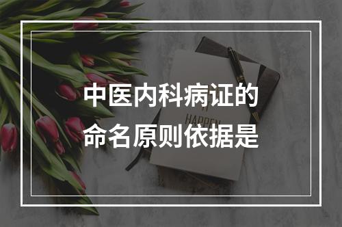 中医内科病证的命名原则依据是